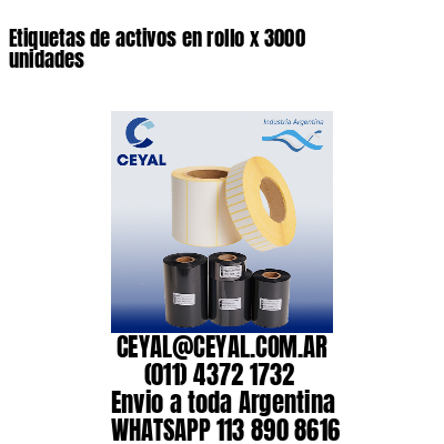 Etiquetas de activos en rollo x 3000 unidades