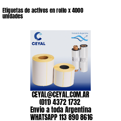 Etiquetas de activos en rollo x 4000 unidades