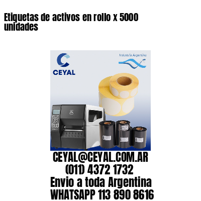 Etiquetas de activos en rollo x 5000 unidades