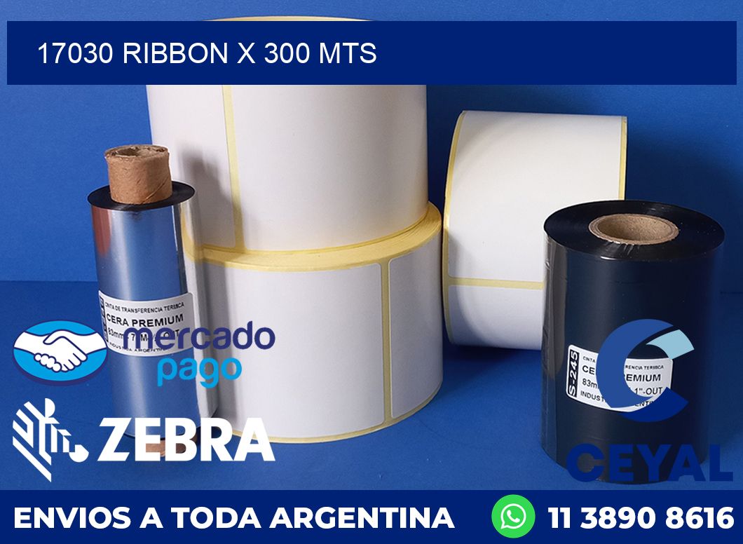 17030 ribbon x 300 mts