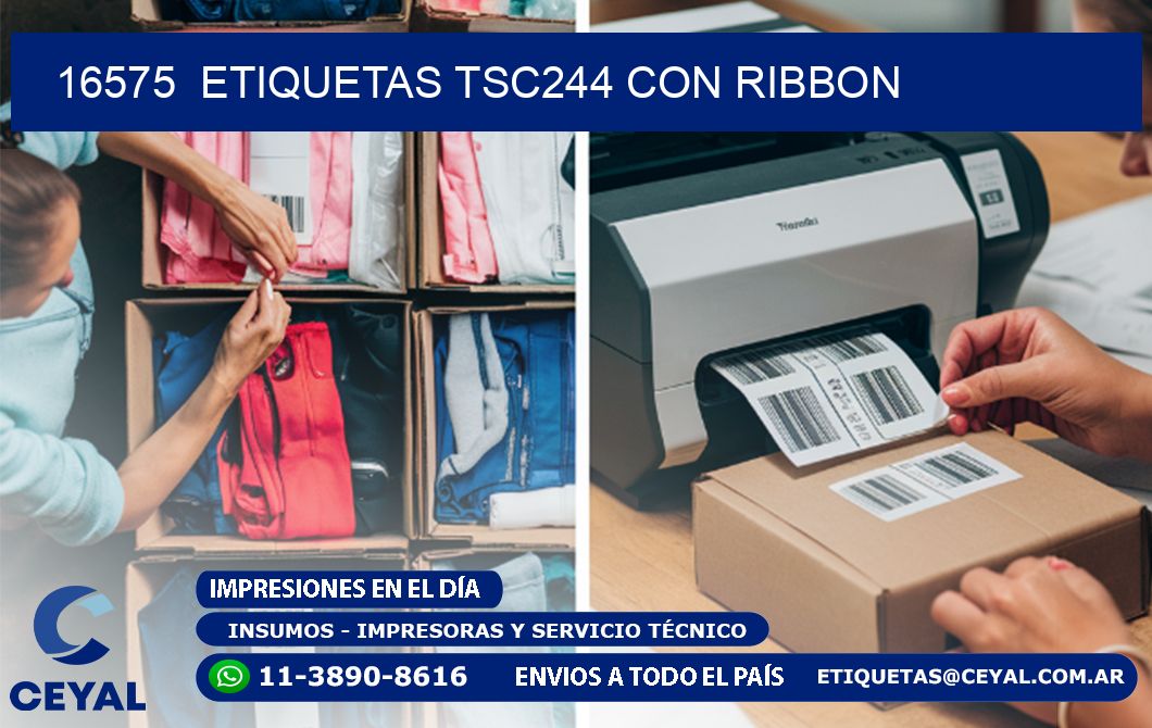 16575  ETIQUETAS TSC244 CON RIBBON