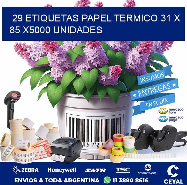 29 ETIQUETAS PAPEL TERMICO 31 x 85 X5000 UNIDADES