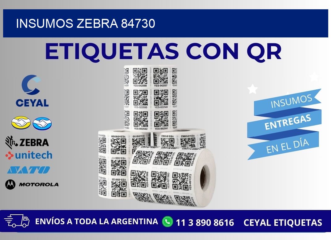 INSUMOS ZEBRA 84730