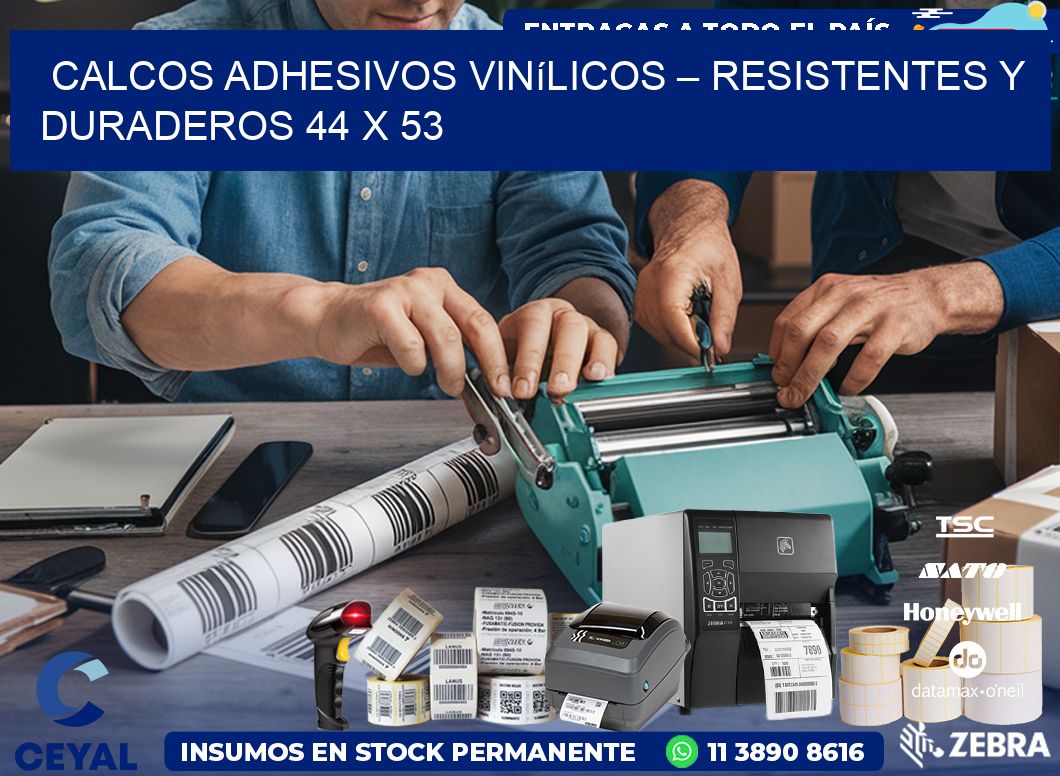 Calcos Adhesivos Vinílicos – Resistentes y Duraderos 44 x 53