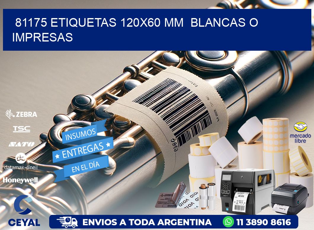 81175 ETIQUETAS 120x60 mm  BLANCAS O IMPRESAS