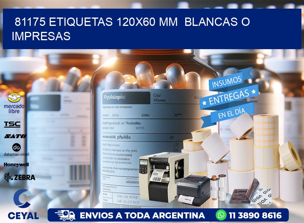 81175 ETIQUETAS 120×60 mm  BLANCAS O IMPRESAS