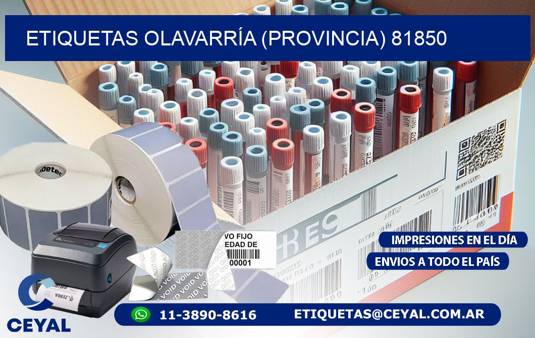 ETIQUETAS OLAVARRÍA (PROVINCIA) 81850