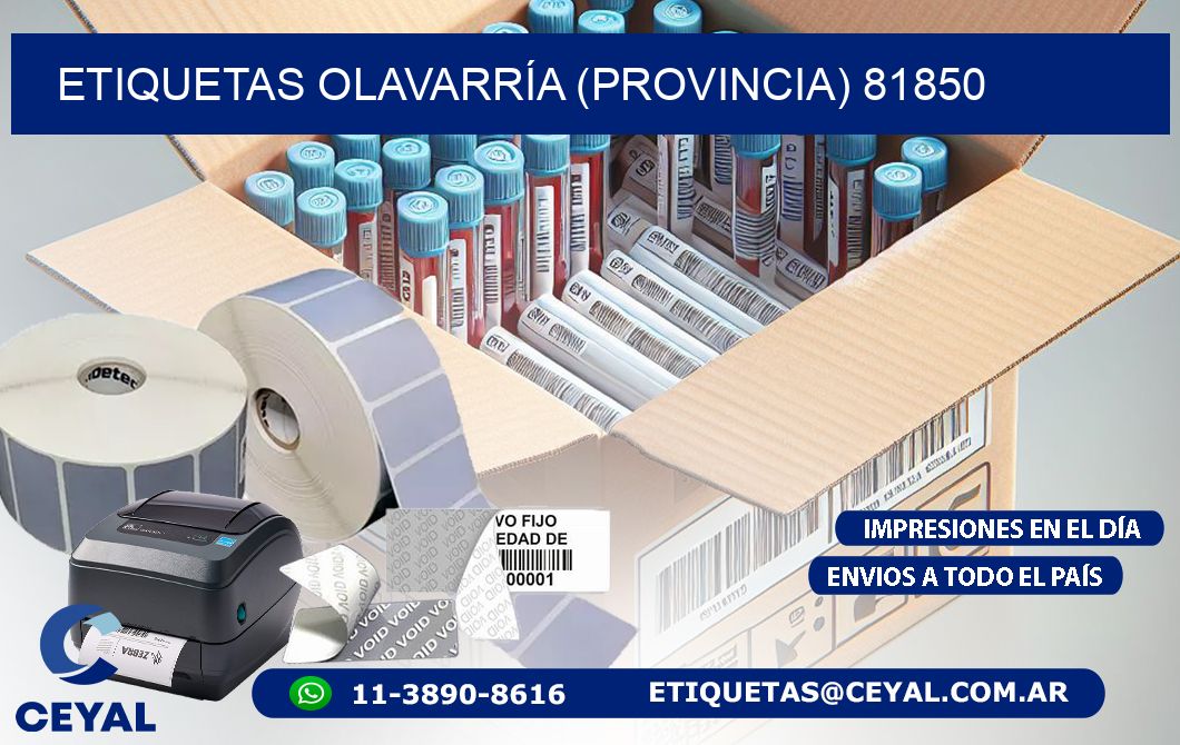 ETIQUETAS OLAVARRÍA (PROVINCIA) 81850