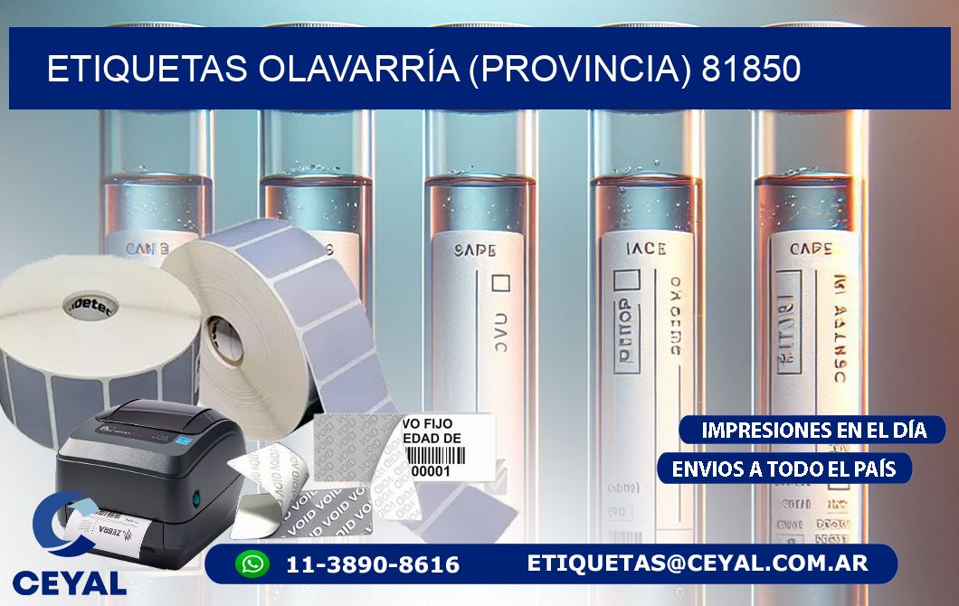 ETIQUETAS OLAVARRÍA (PROVINCIA) 81850